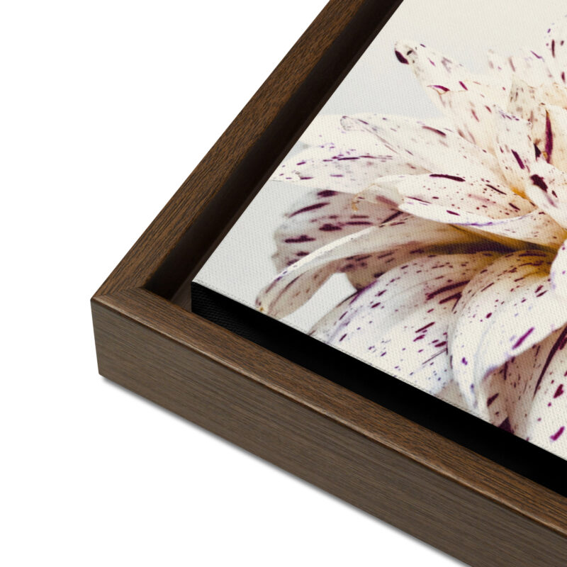 Pattern Pair Pattern Pair framed canvas art (detail)