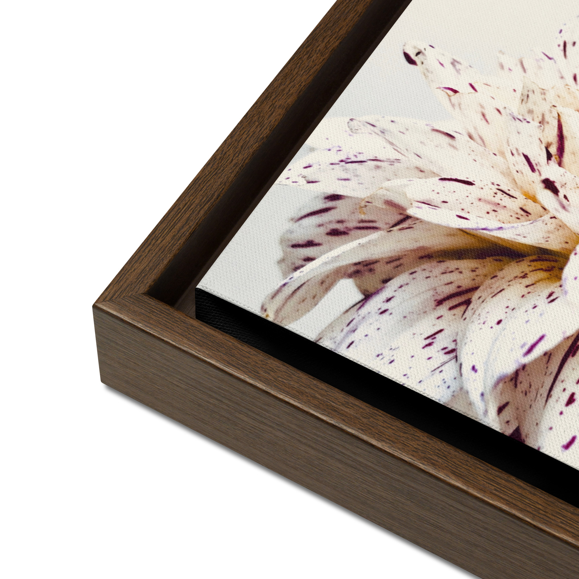 Pattern Pair framed canvas art (detail)