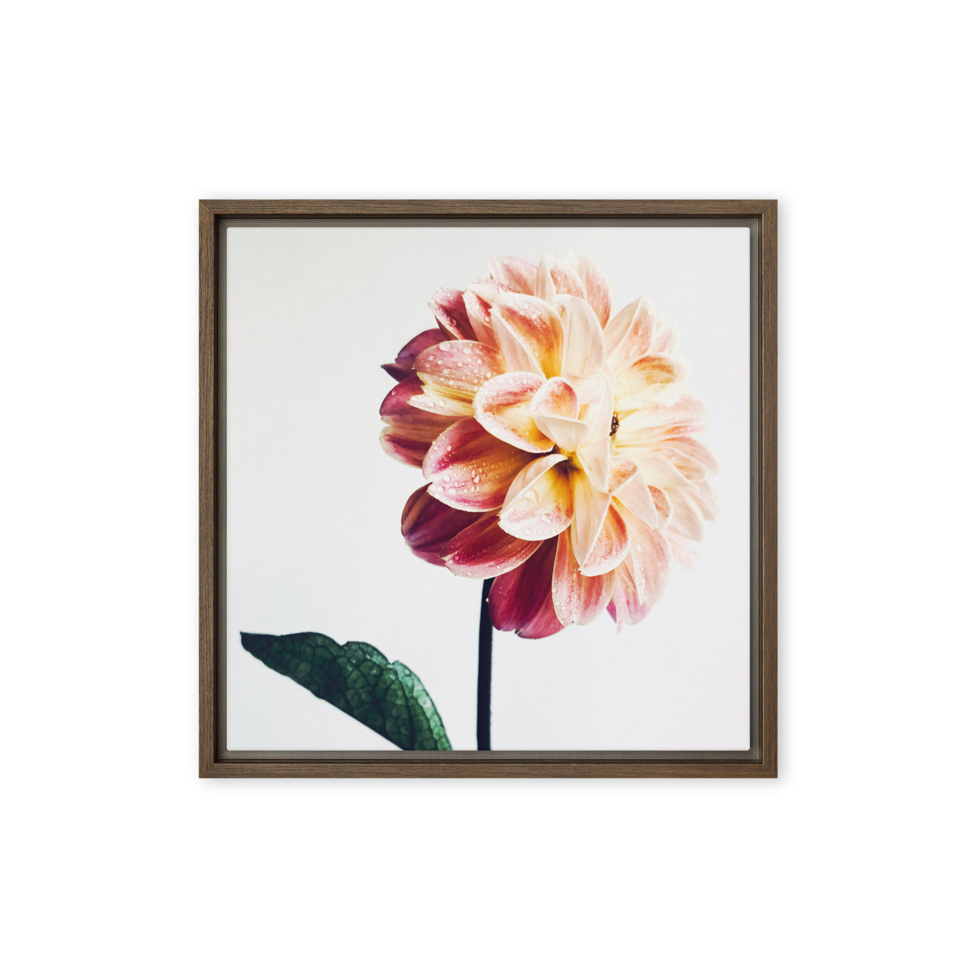 Standing Bright Standing Bright framed canvas art (front view)
