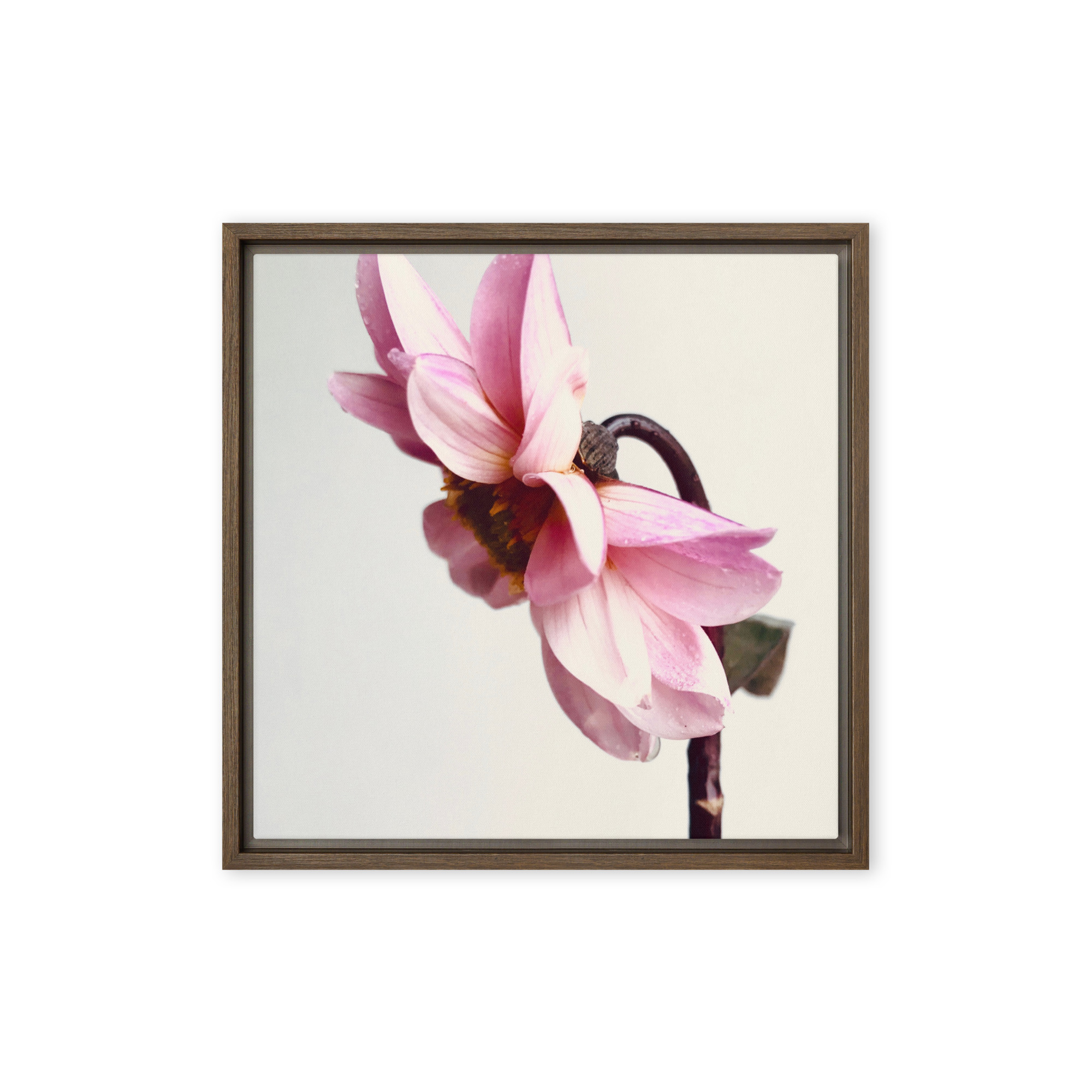 Reverent Bloom Reverent Bloom framed canvas art (front view)