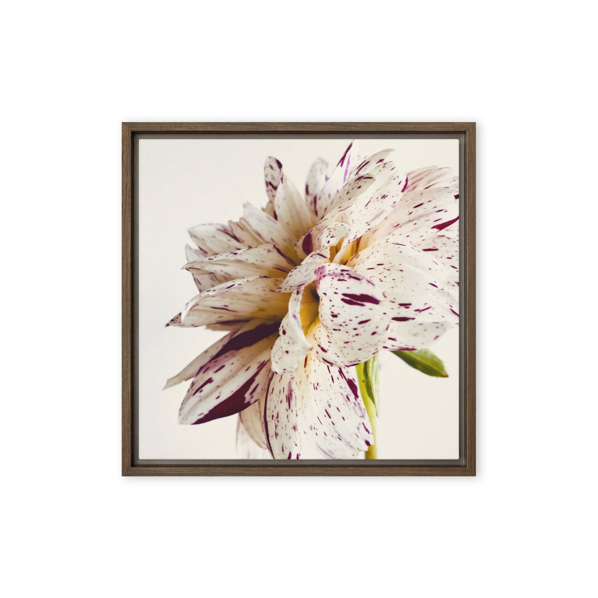 Freckled Bloom Freckled Bloom framed canvas art (front view)