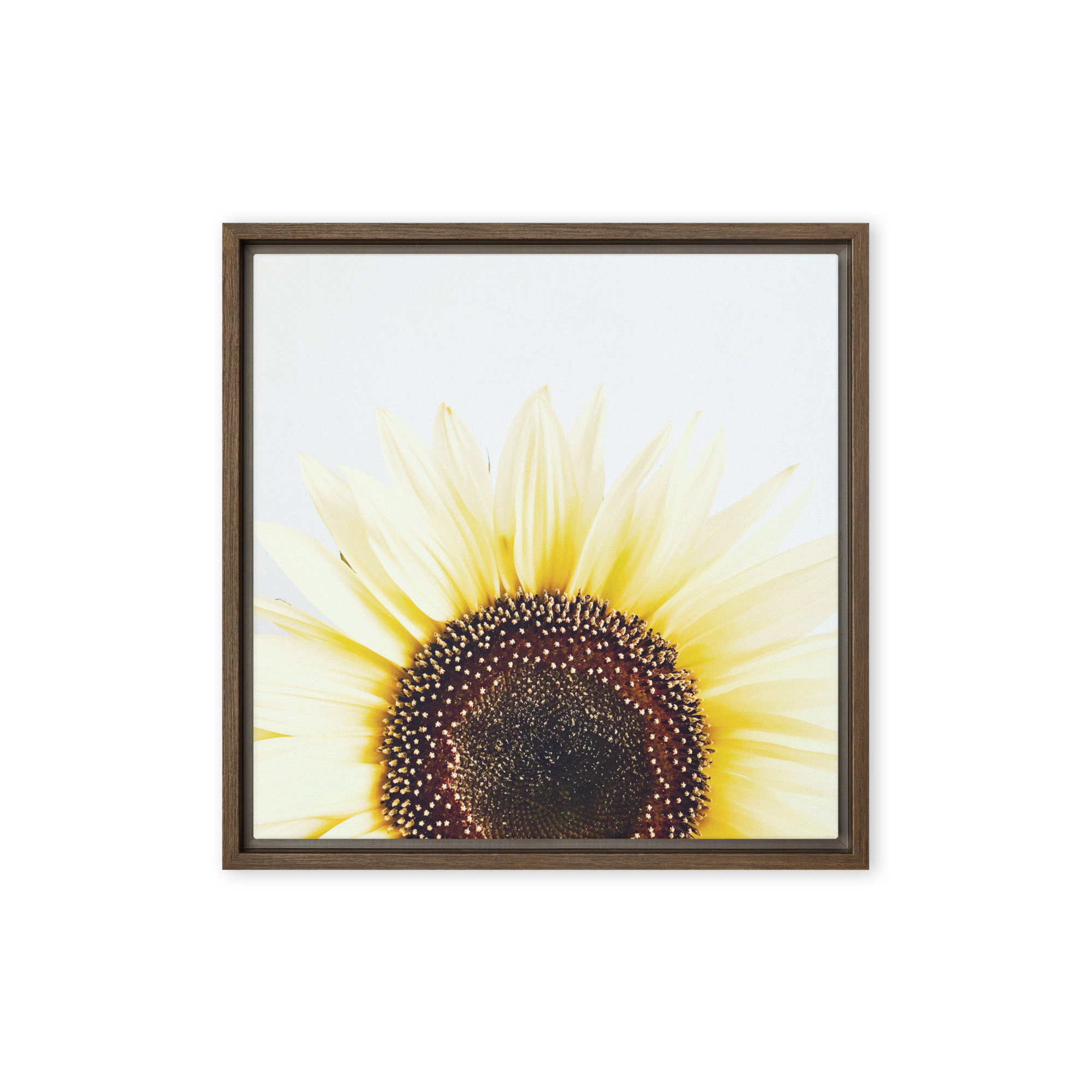 Summer Rise framed canvas art (front view)