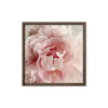 Soft Bloom Soft Bloom framed canvas art (front view)