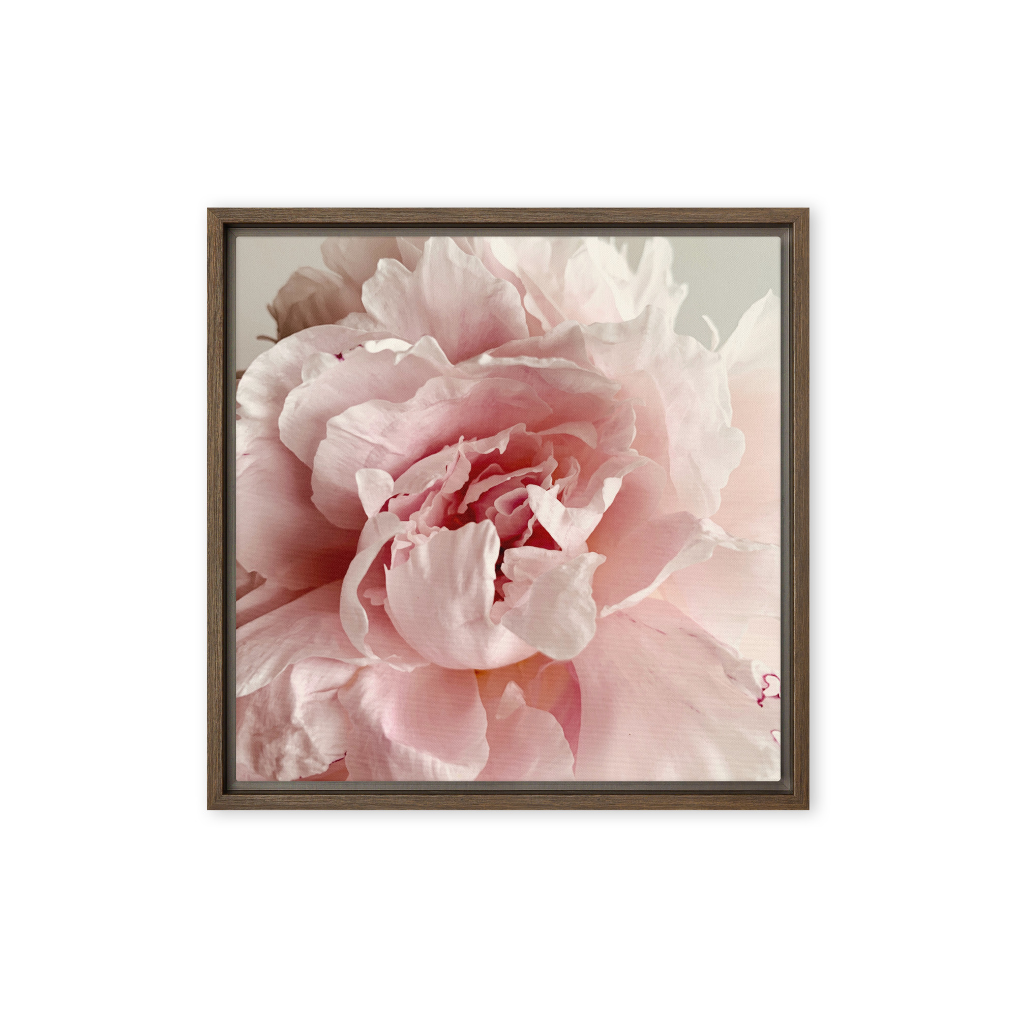 Soft Bloom Soft Bloom framed canvas art (front view)