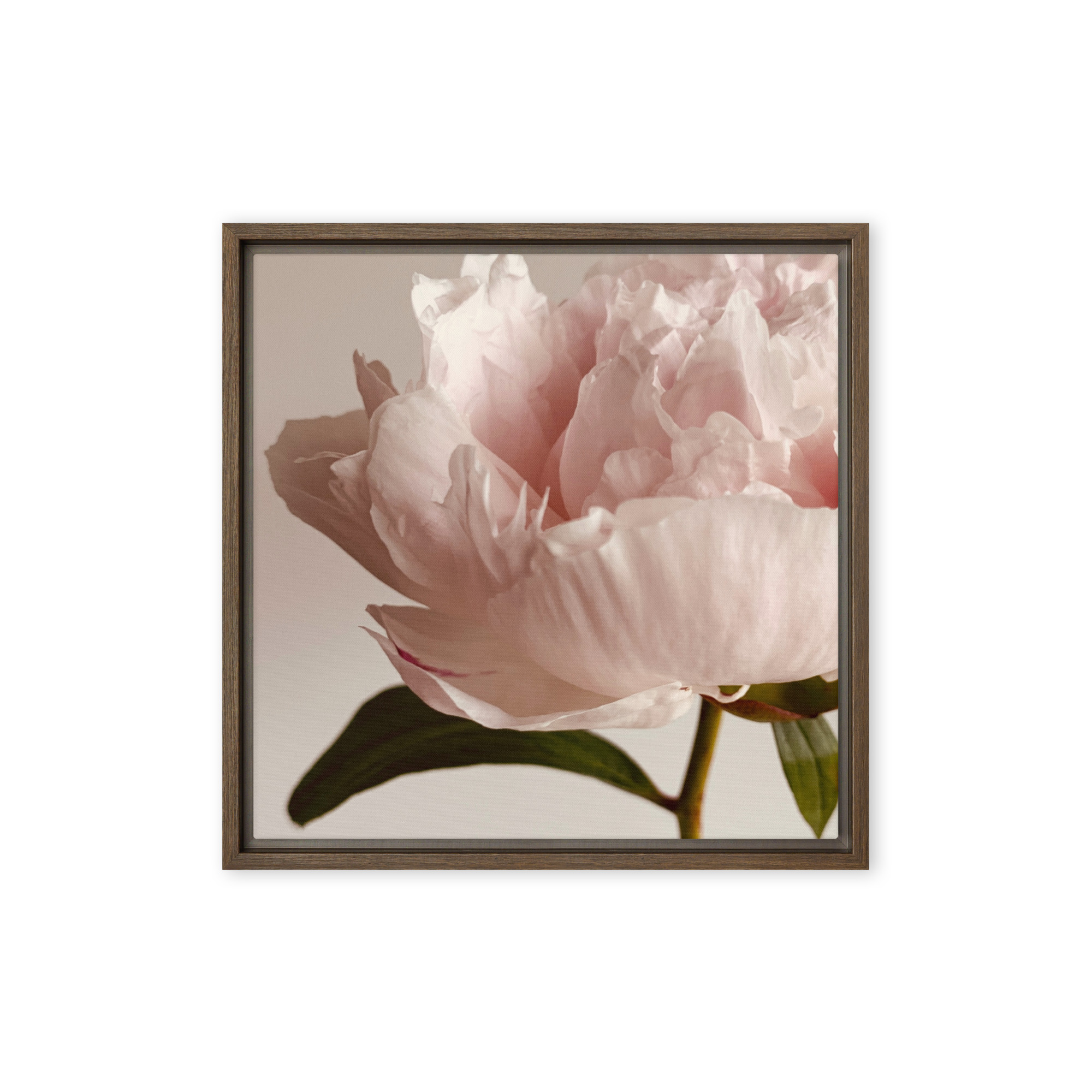 Soft Contour framed canvas art (front view)