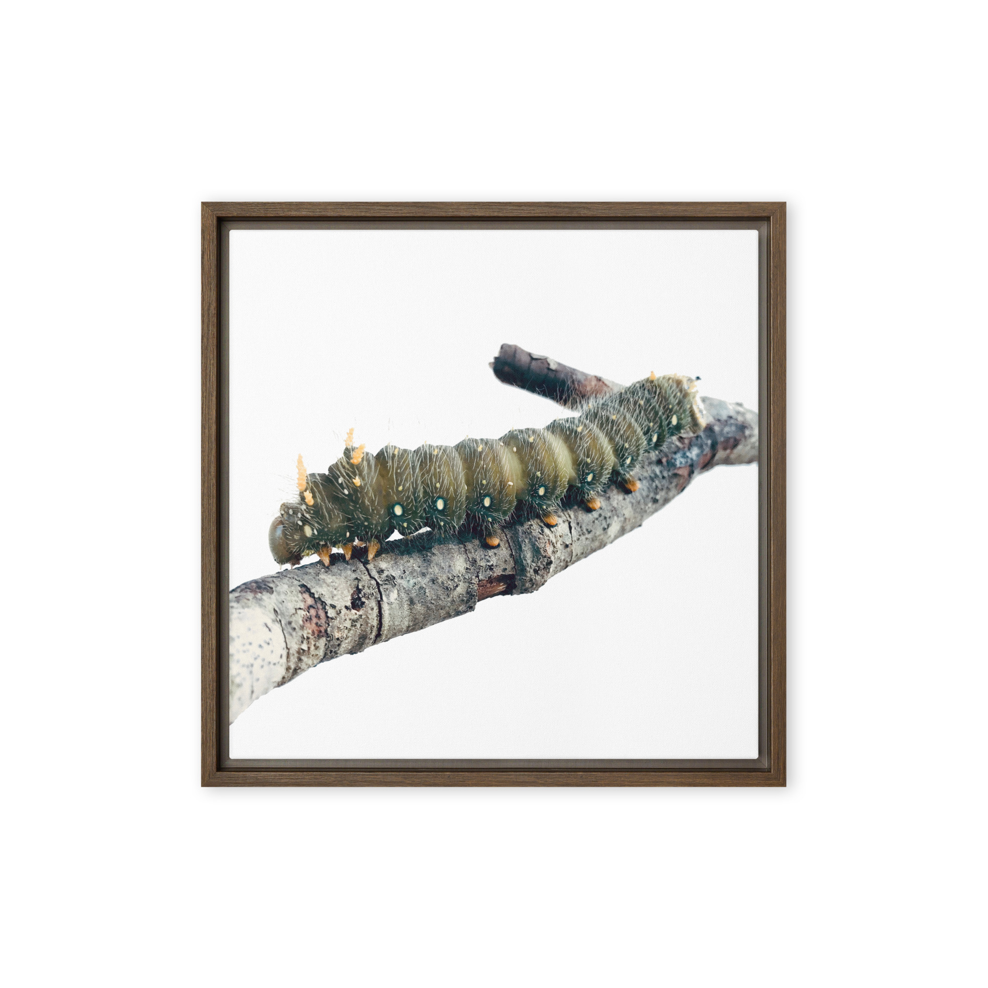 The Intern framed canvas art (front view)