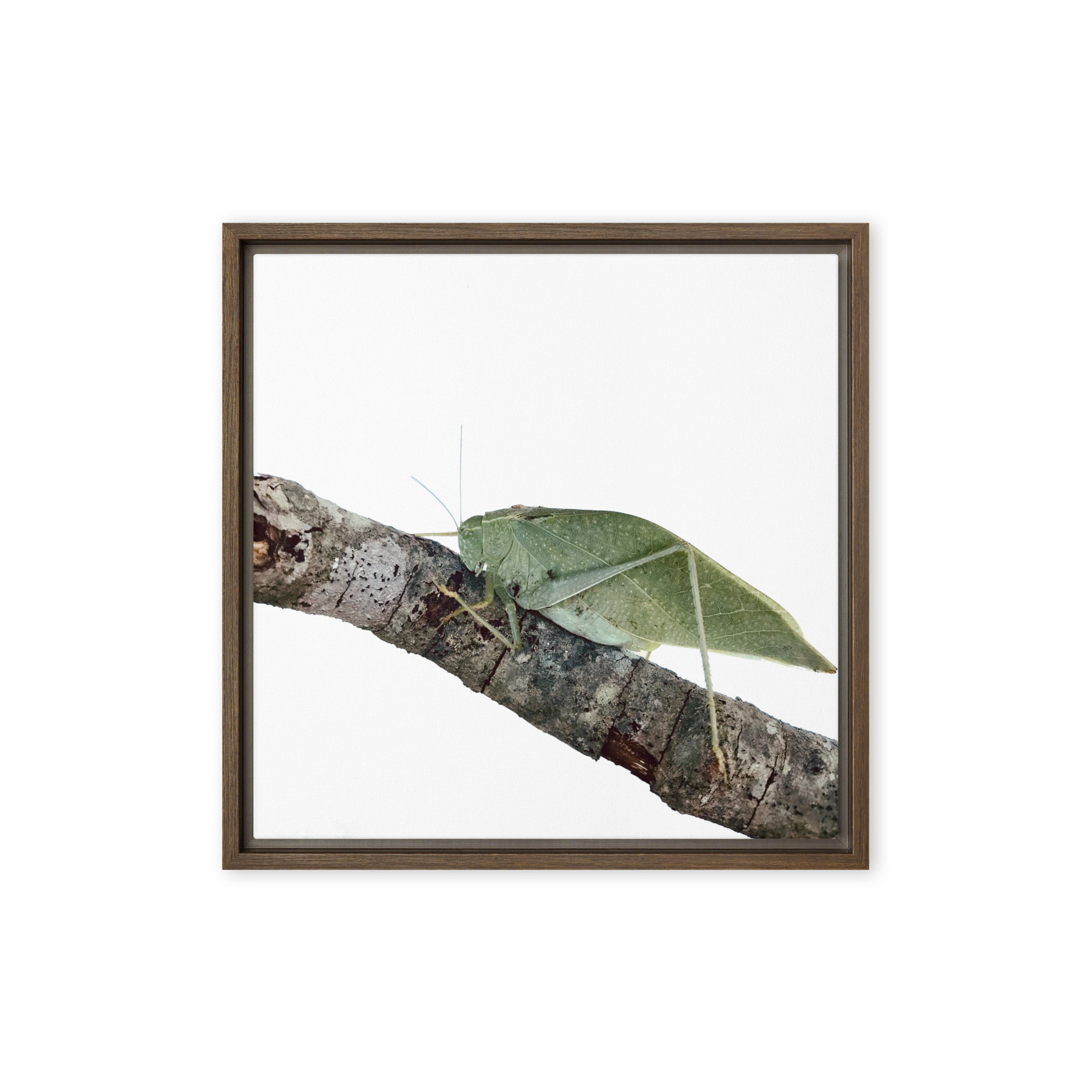 The Analyst framed canvas art (front view)