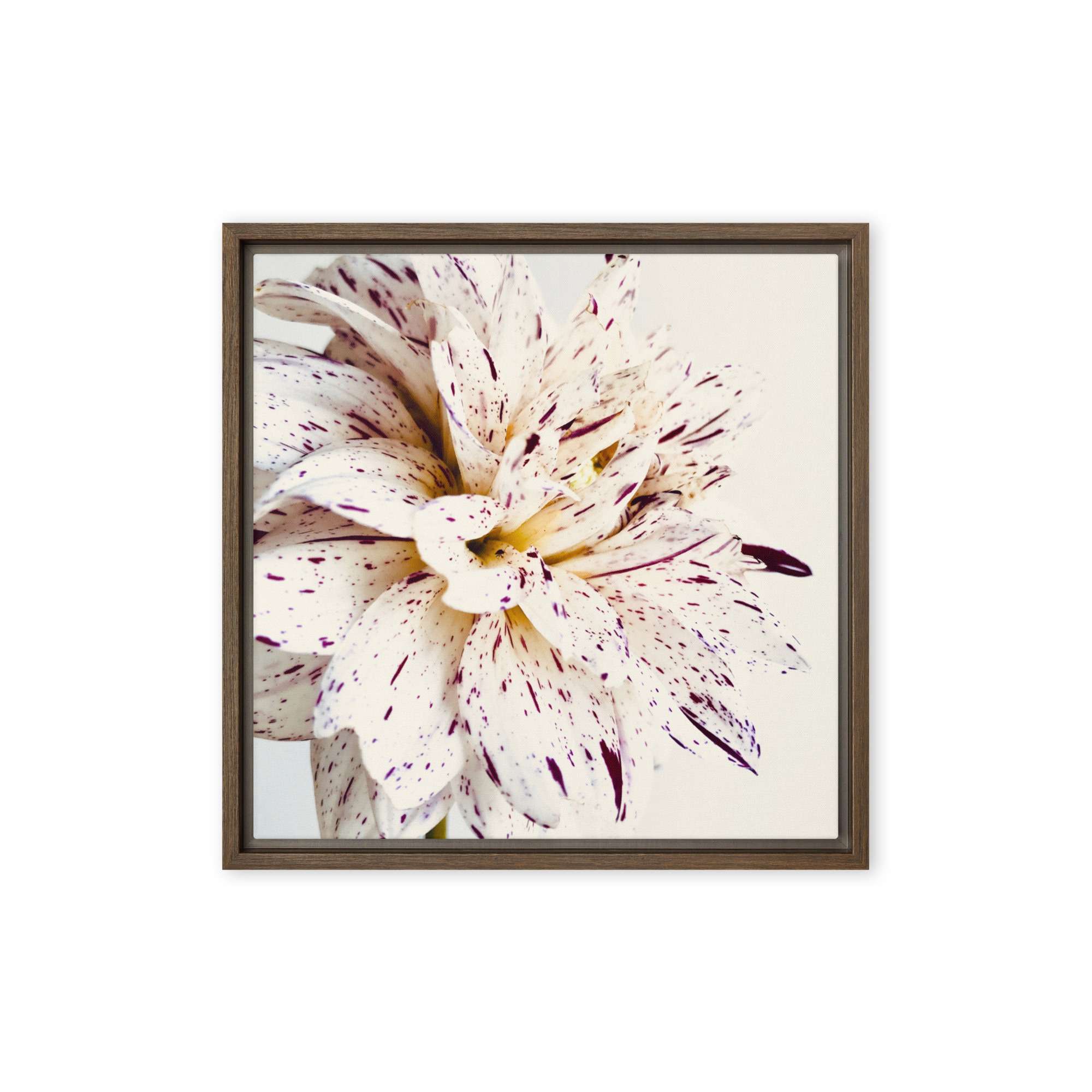 Speckled Bloom Speckled Bloom framed canvas art (front view)
