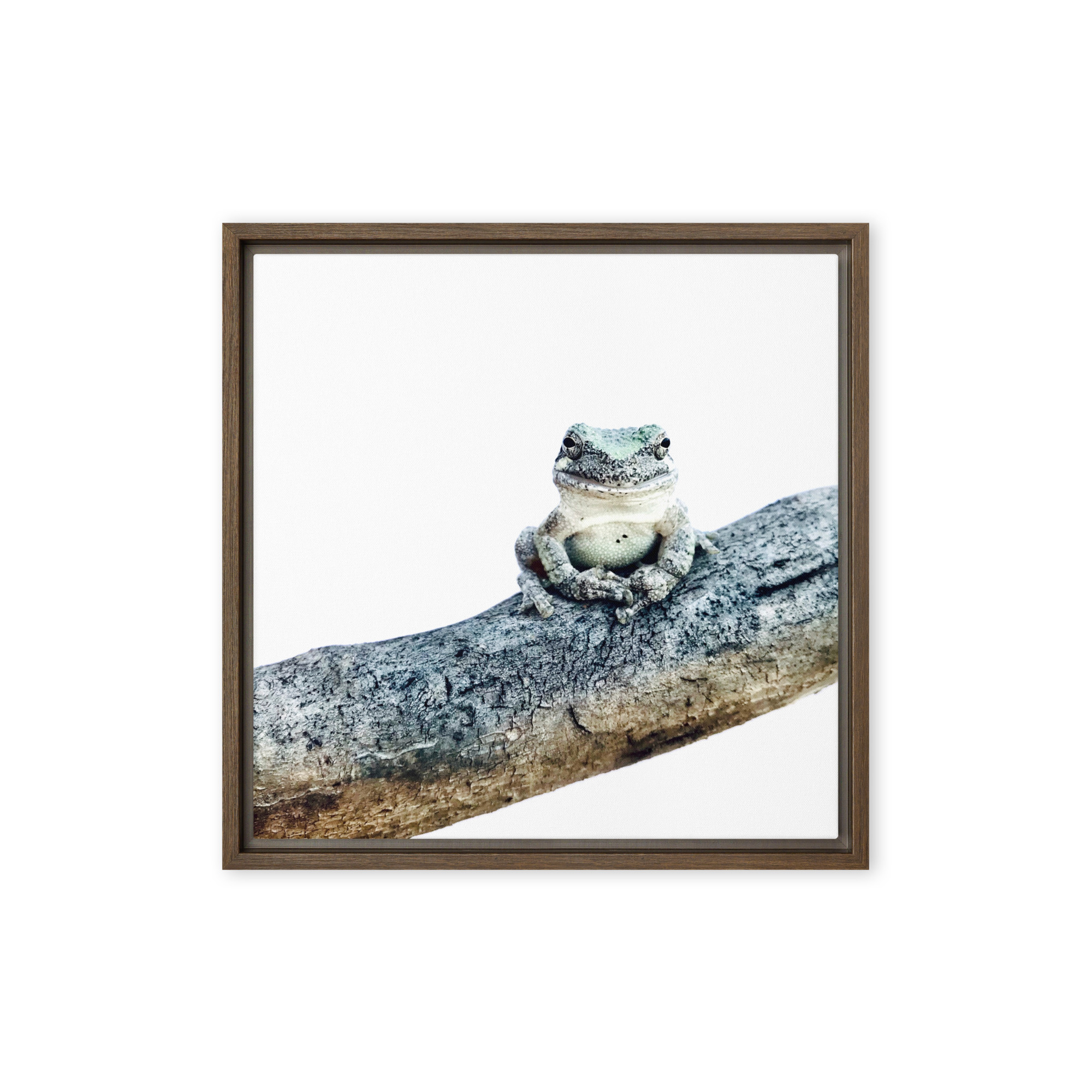 Branch Manager framed canvas art (front view)