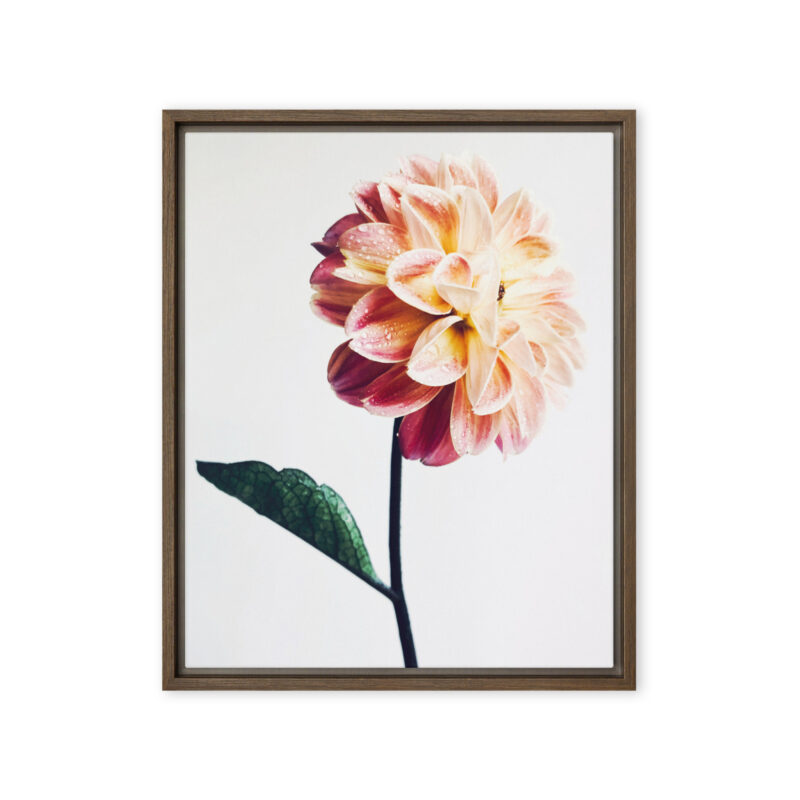 Standing Bright Standing Bright framed canvas art