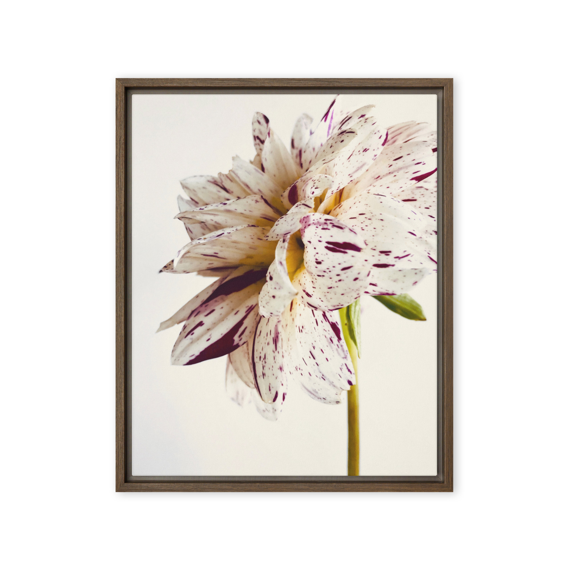 Freckled Bloom Freckled Bloom framed canvas art (front view)