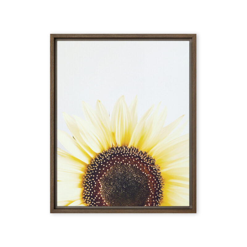 Summer Rise framed canvas art