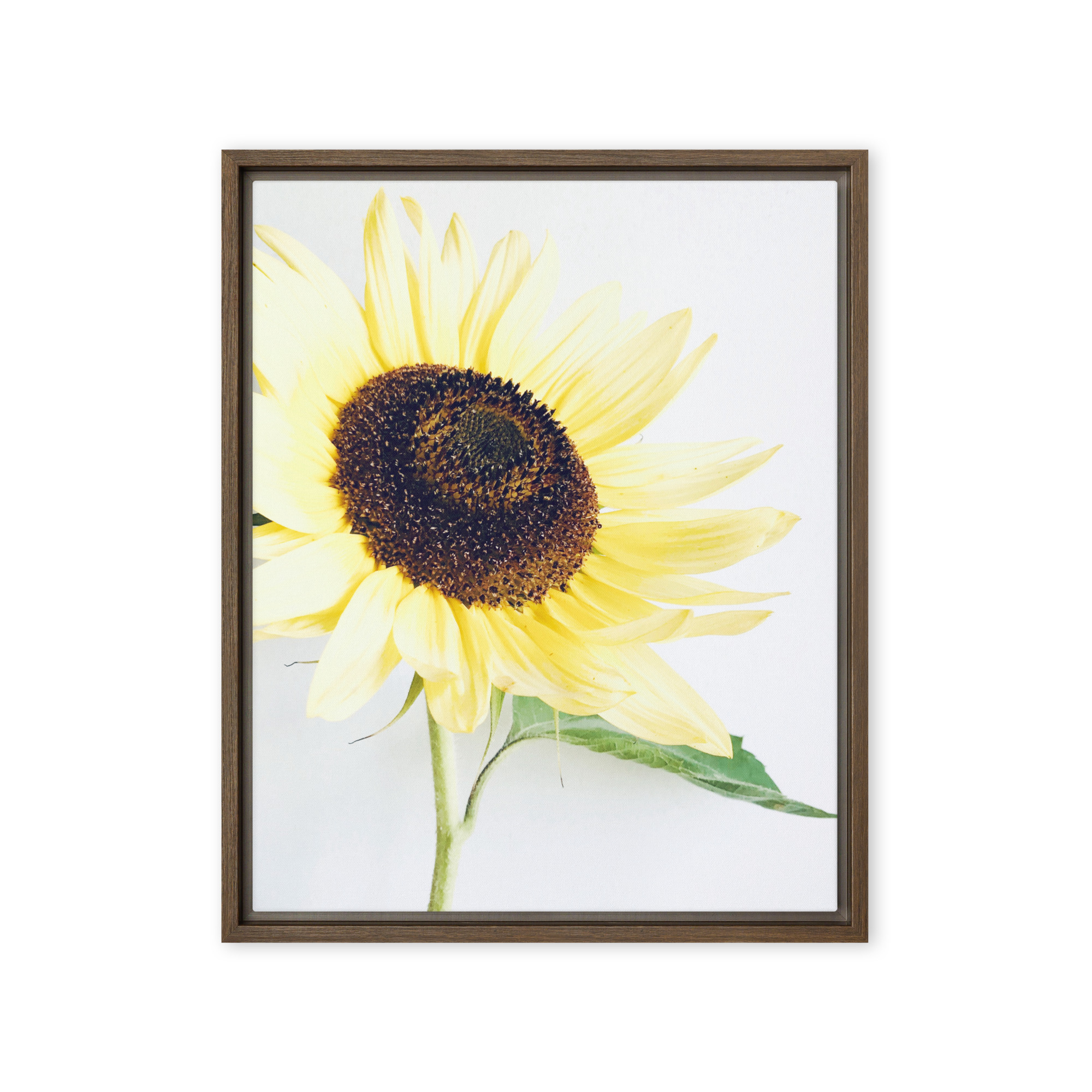 Open Face Open Face framed canvas art (front view)