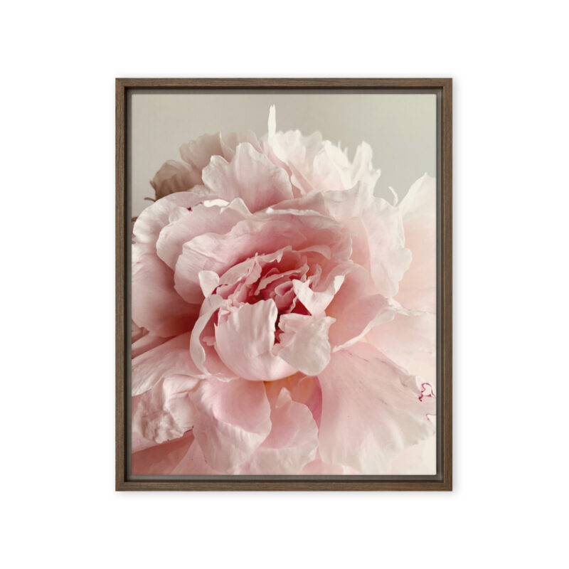 Soft Bloom framed canvas art