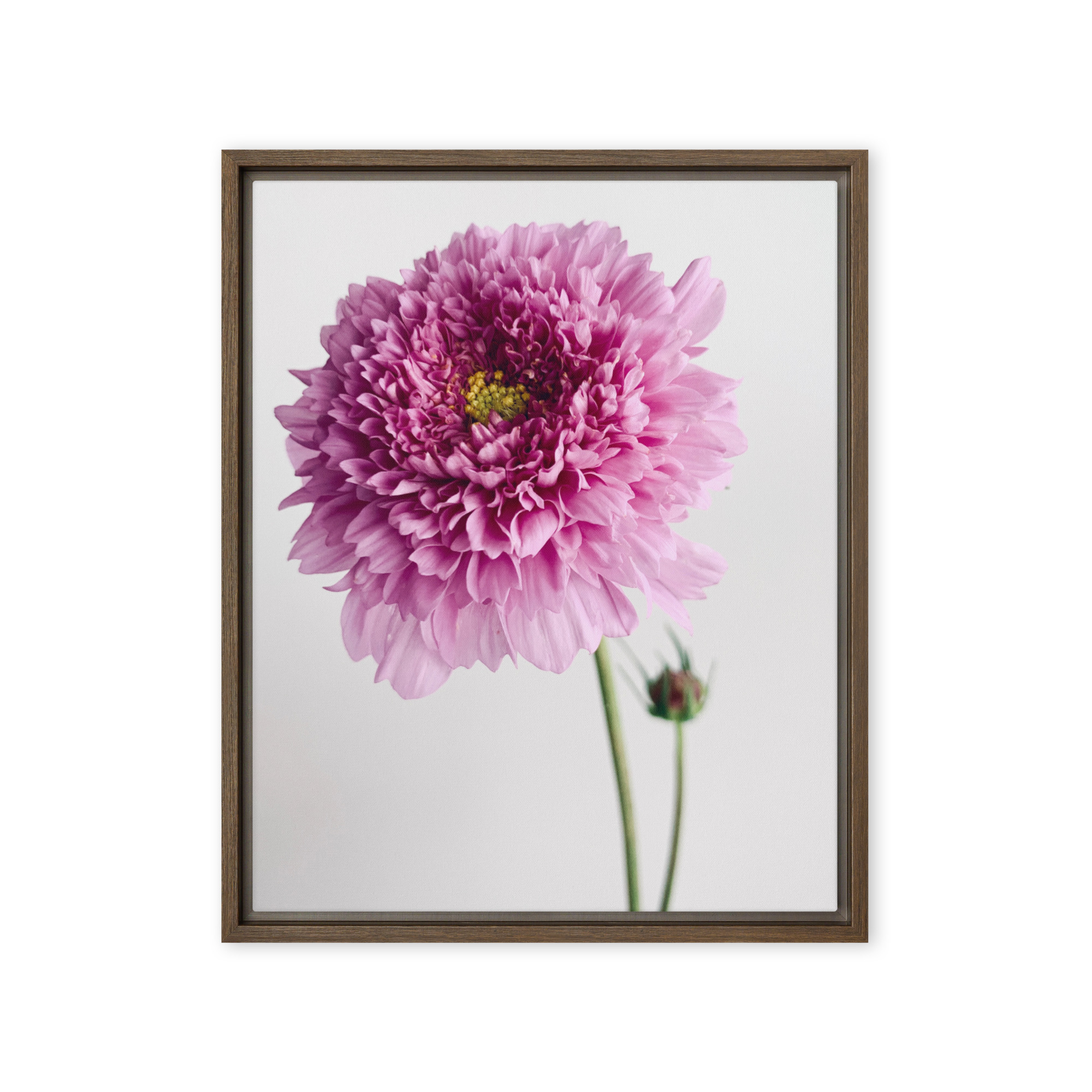 Bright Companion Bright Companion framed canvas art (front view)