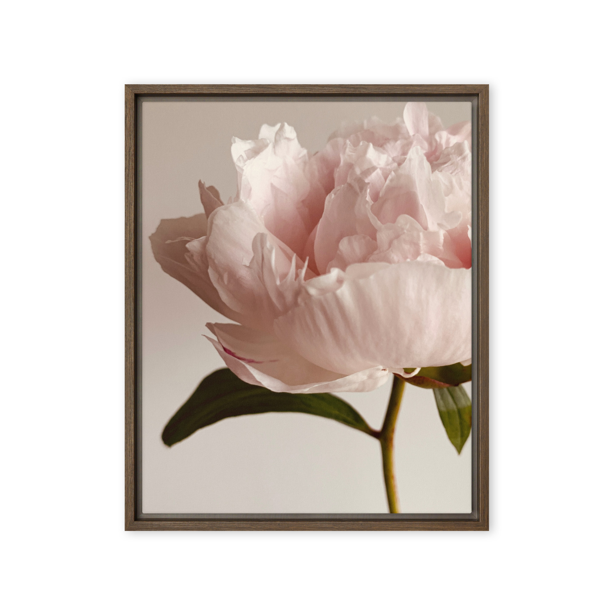 Soft Contour framed canvas art (front view)