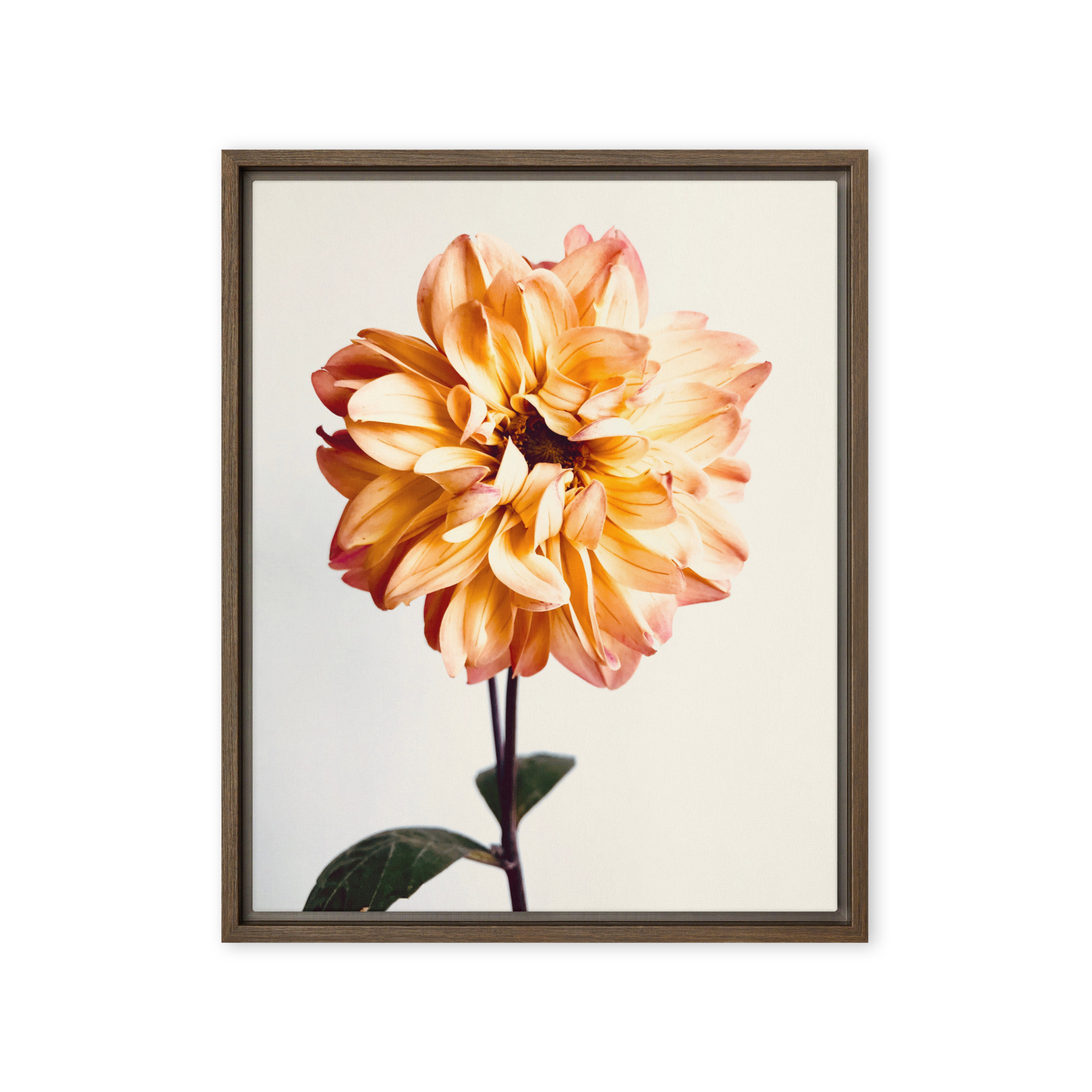 Amber Flame Amber Flame framed canvas art (front view)