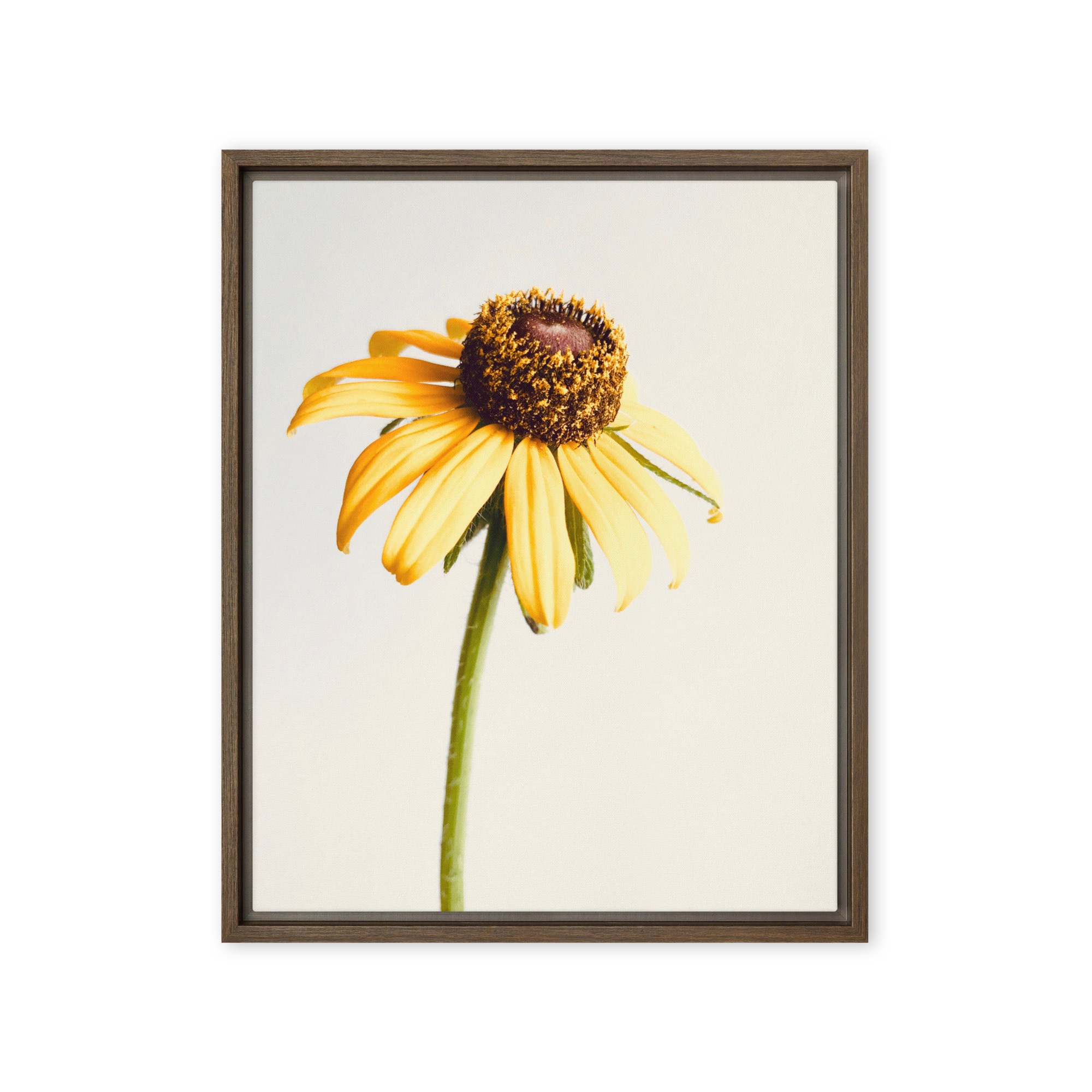 Simple Cheer framed canvas art (front view)