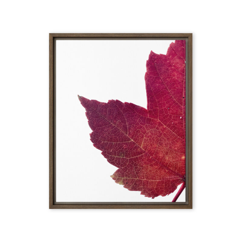 Divided I framed canvas art