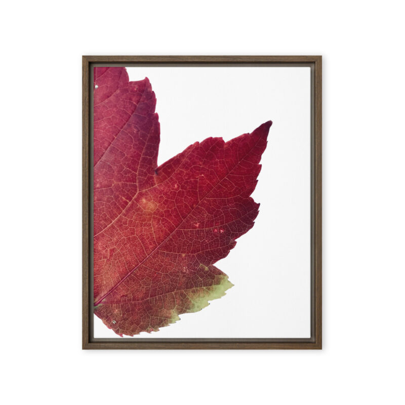 Divided II framed canvas art