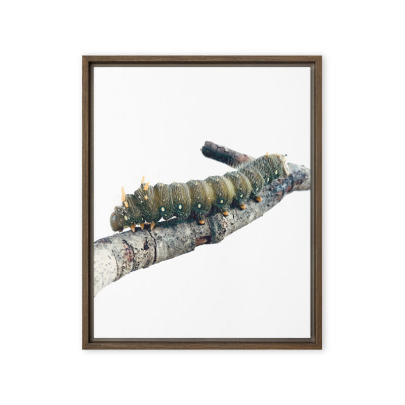 The Intern framed canvas art