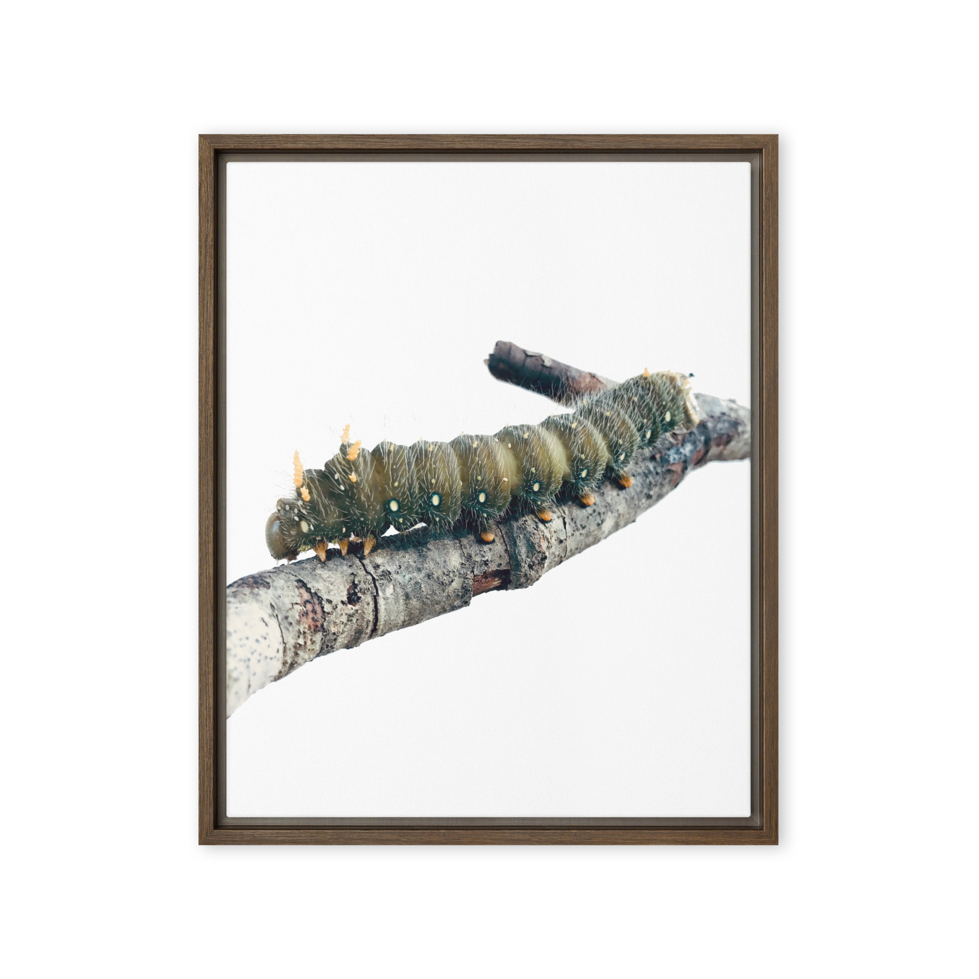 The Intern framed canvas art (front view)