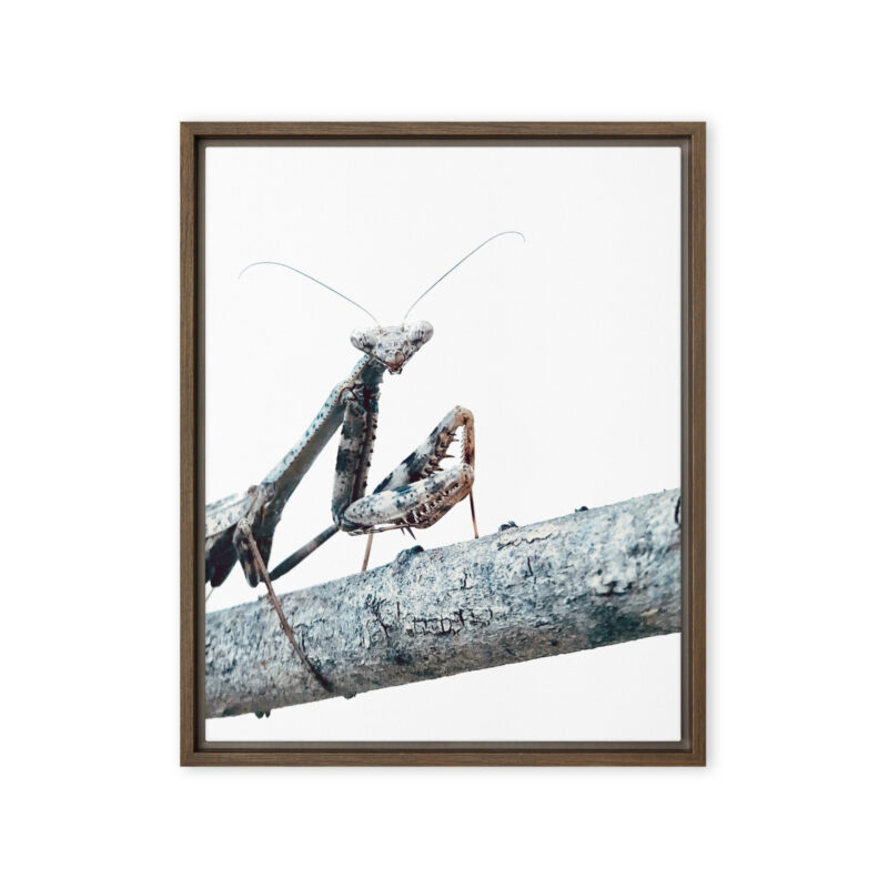 The Executive framed canvas art