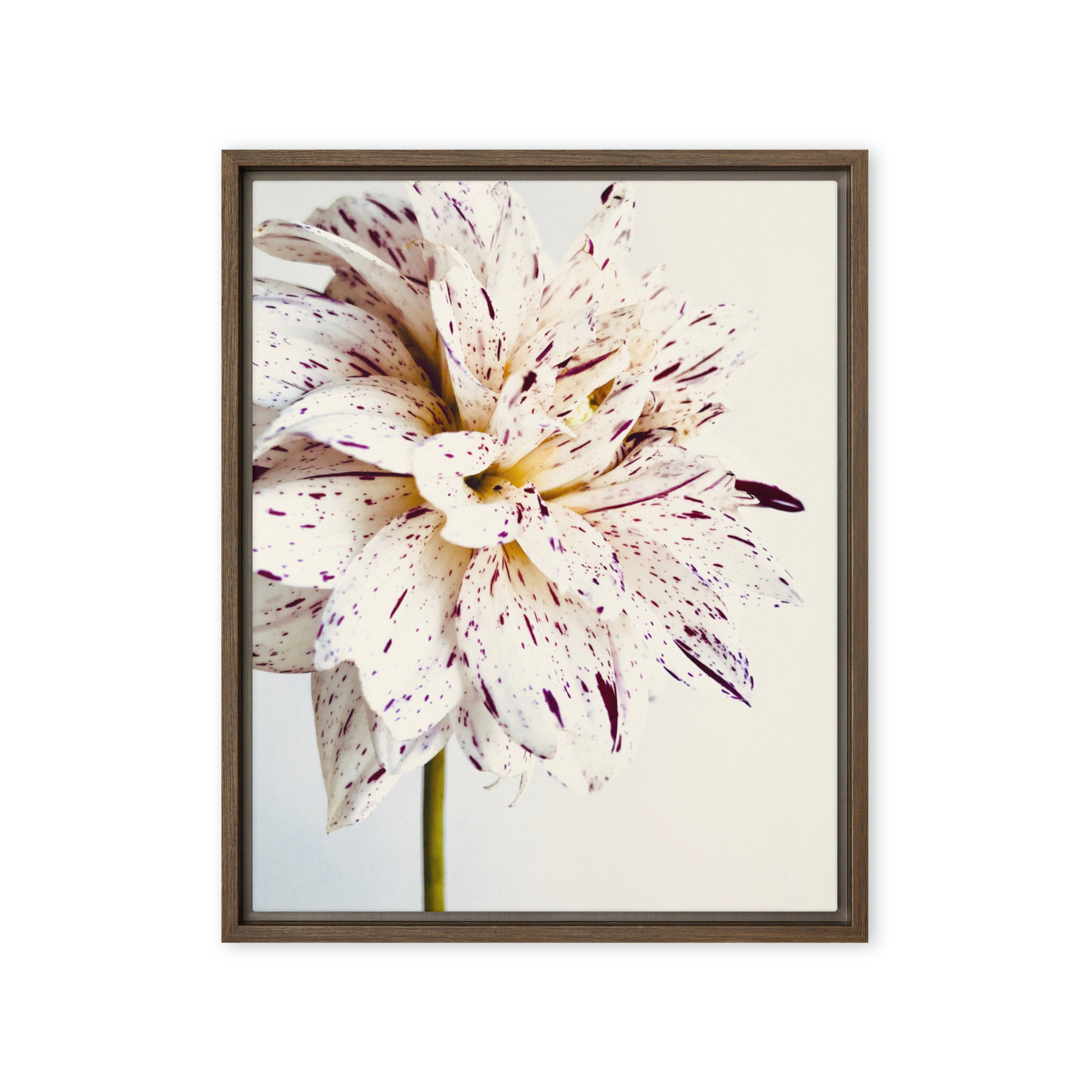 Speckled Bloom Speckled Bloom framed canvas art (front view)