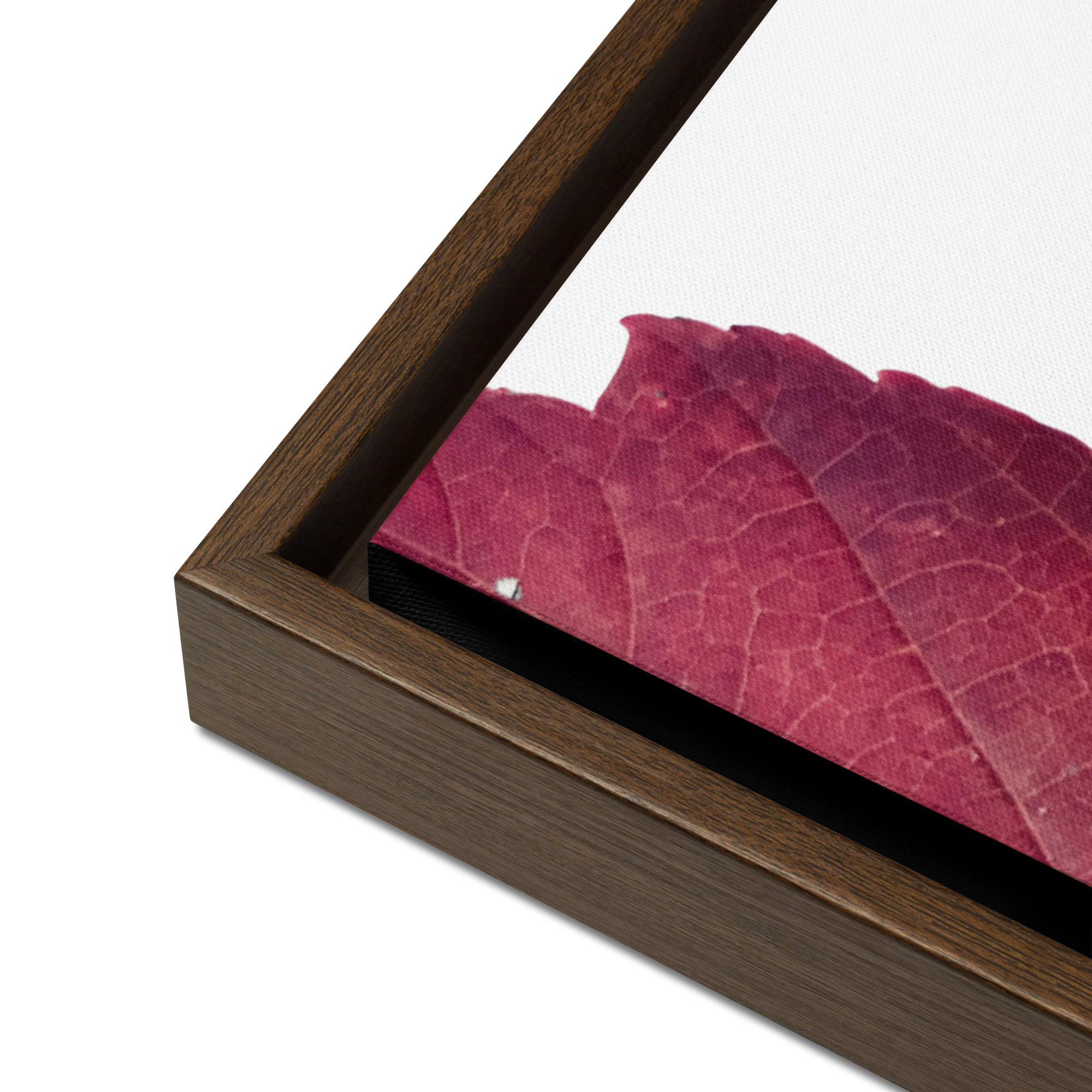 Divided II Divided II framed canvas art (detail)