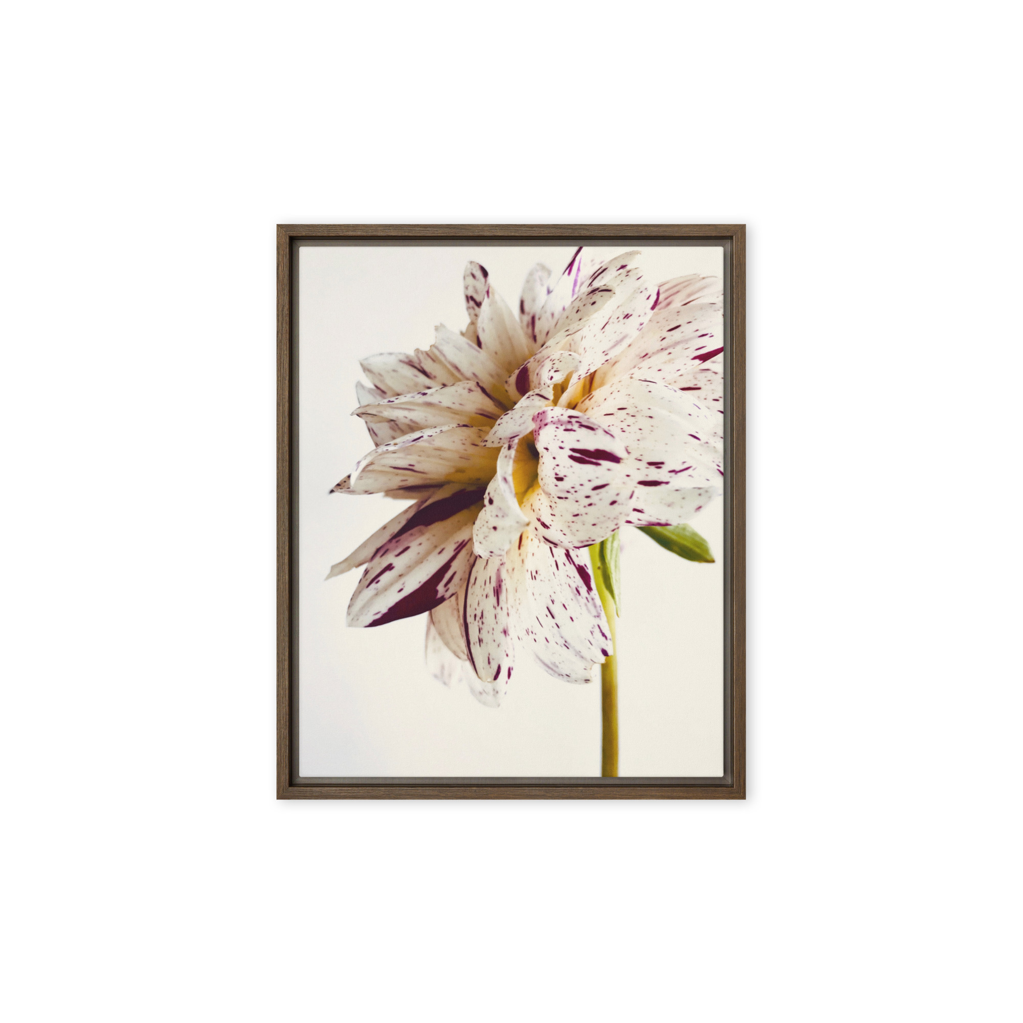 Freckled Bloom Freckled Bloom framed canvas art (front view)