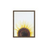 Summer Rise framed canvas art (front view)