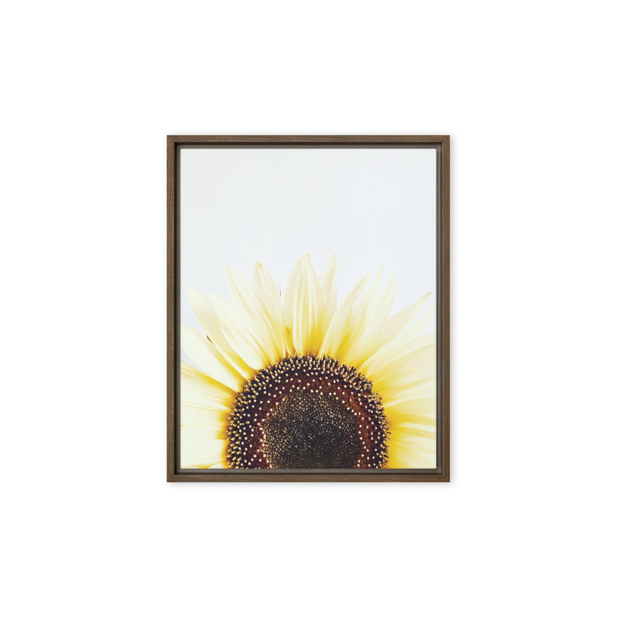 Summer Rise framed canvas art (front view)