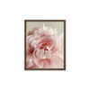 Soft Bloom Soft Bloom framed canvas art (front view)