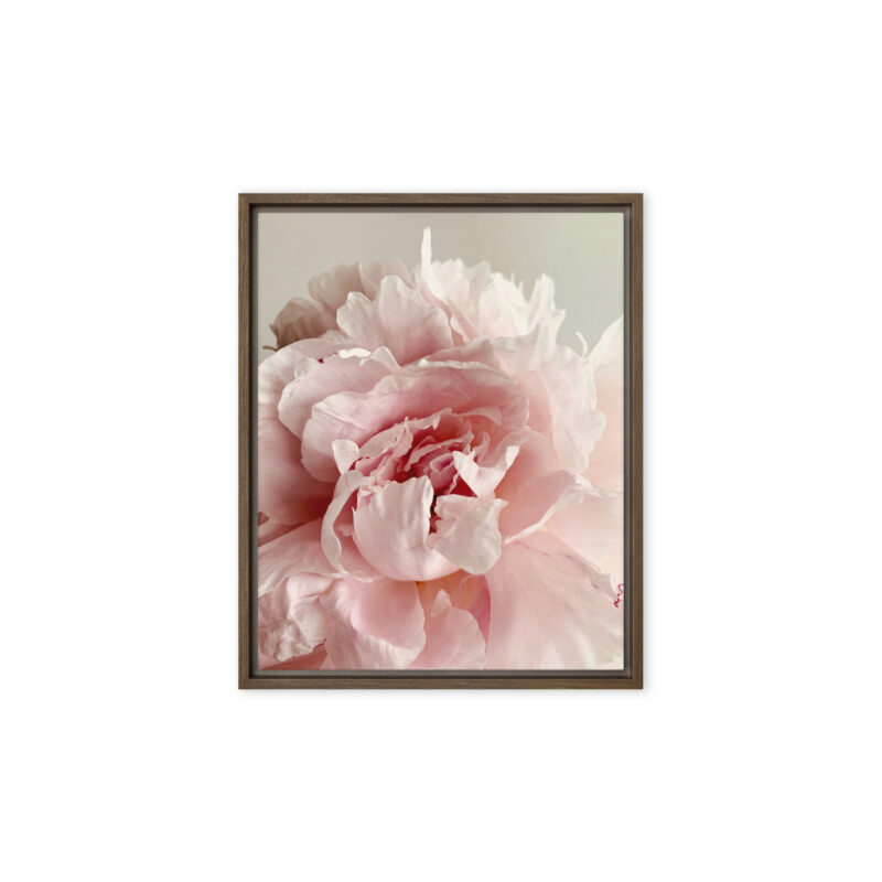 Soft Bloom framed canvas art (front view)