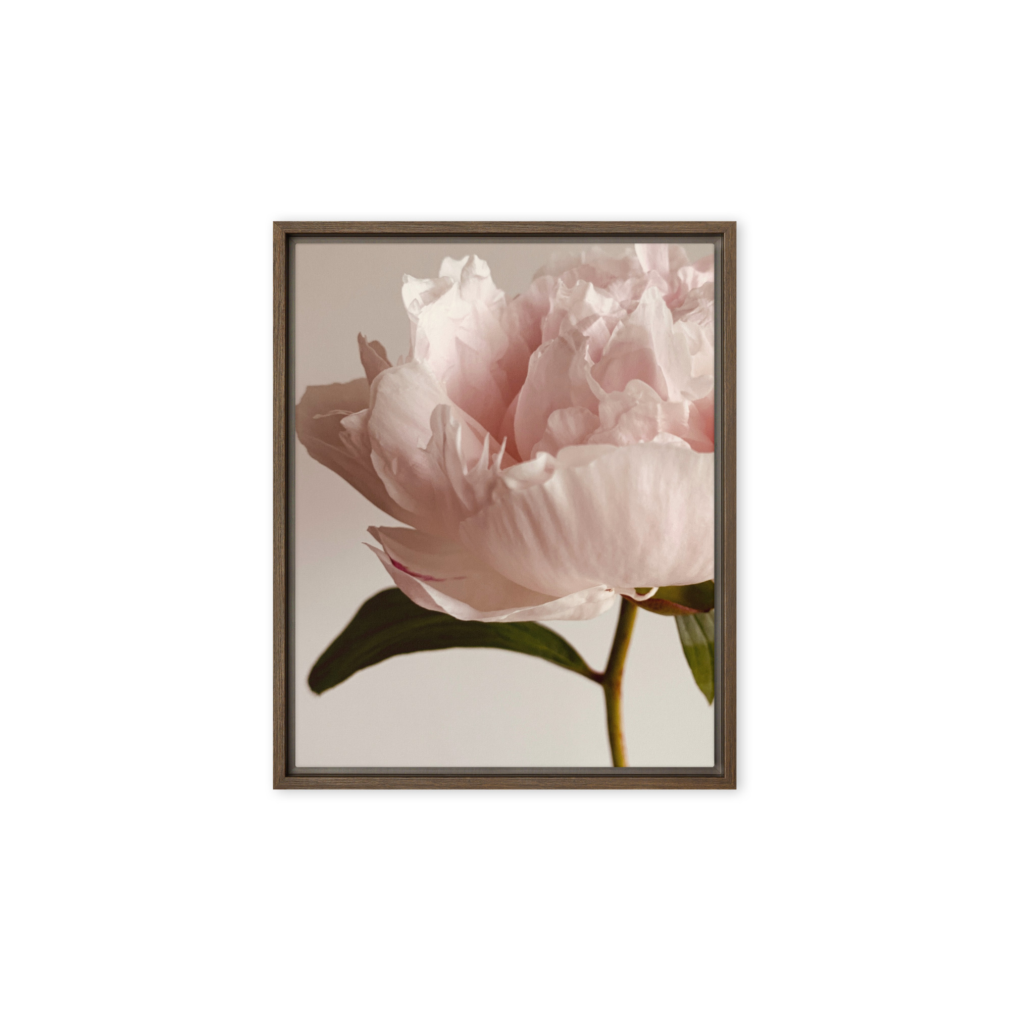 Soft Contour framed canvas art (front view)