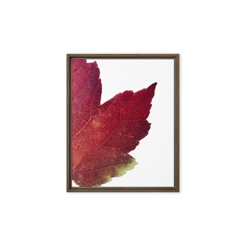 Divided II framed canvas art (front view)