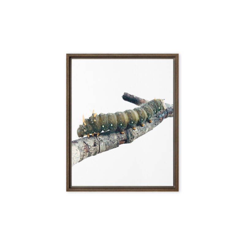 The Intern framed canvas art (front view)