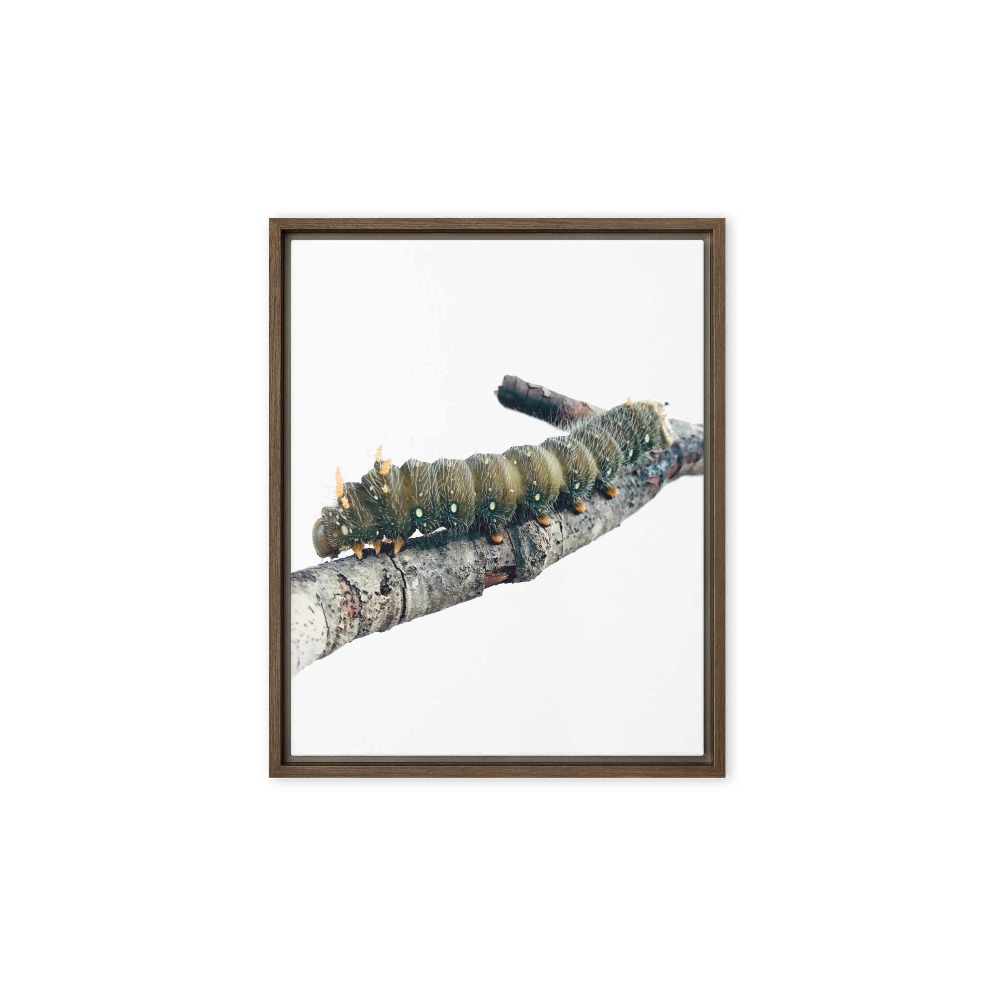 The Intern framed canvas art (front view)