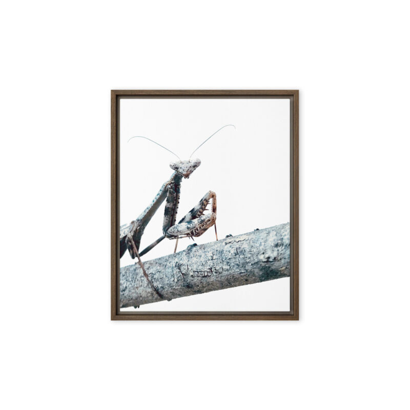 The Executive framed canvas art (front view)