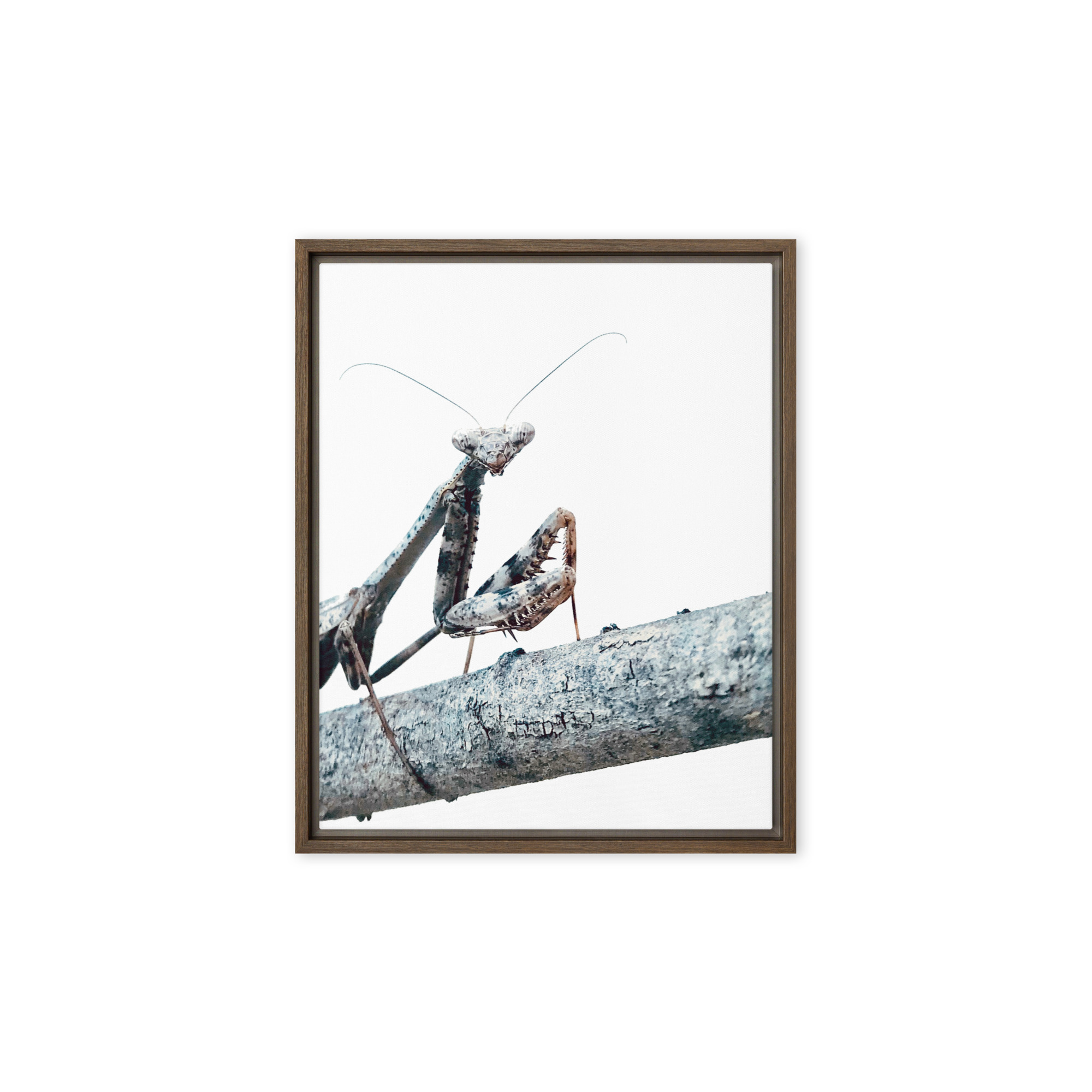 The Executive The Executive framed canvas art (front view)