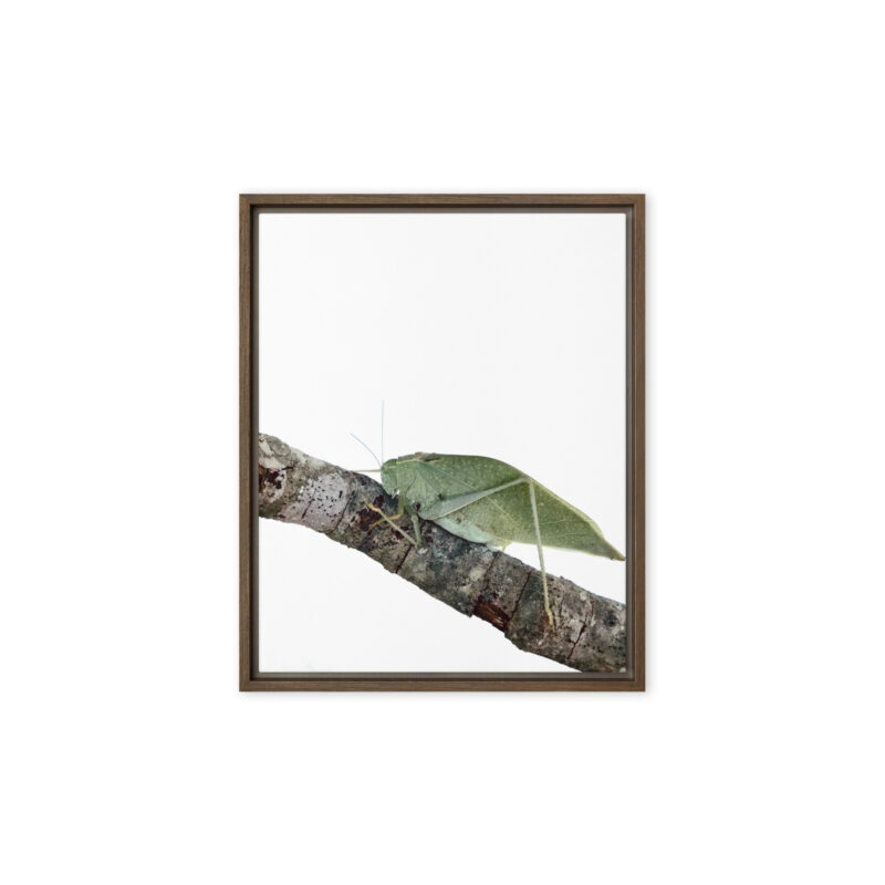 The Analyst framed canvas art (front view)