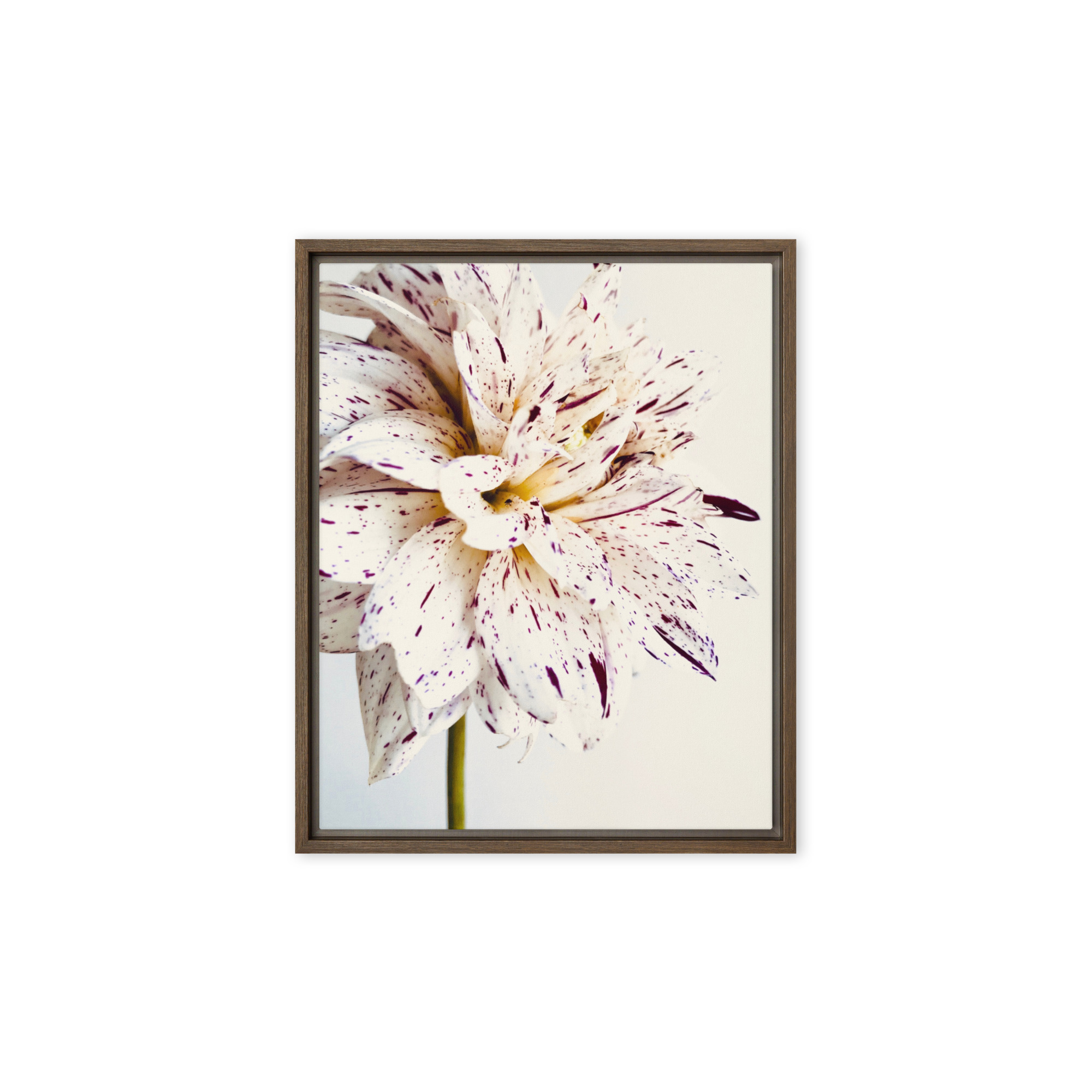 Speckled Bloom Speckled Bloom framed canvas art (front view)