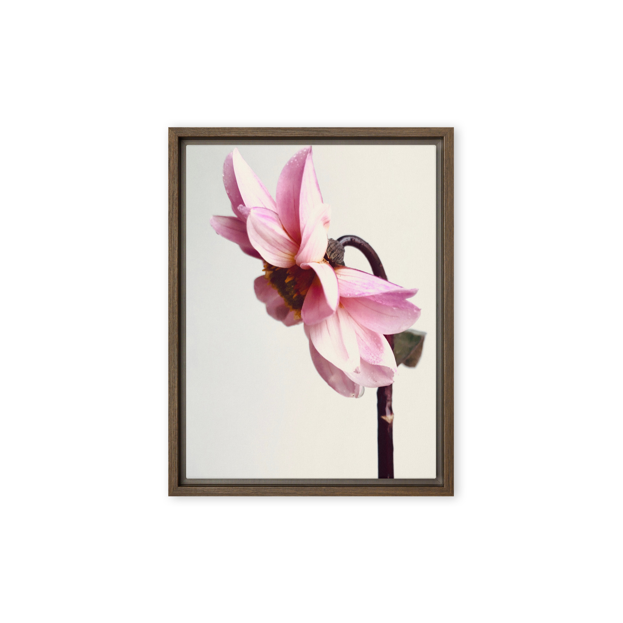 Reverent Bloom Reverent Bloom framed canvas art (front view)