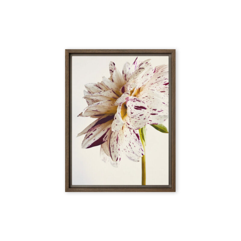 Freckled Bloom framed canvas art (front view)