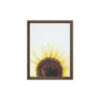 Summer Rise framed canvas art (front view)