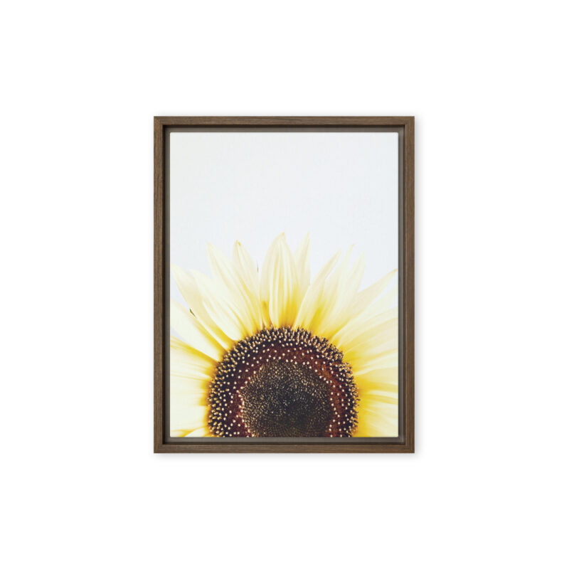Summer Rise framed canvas art (front view)