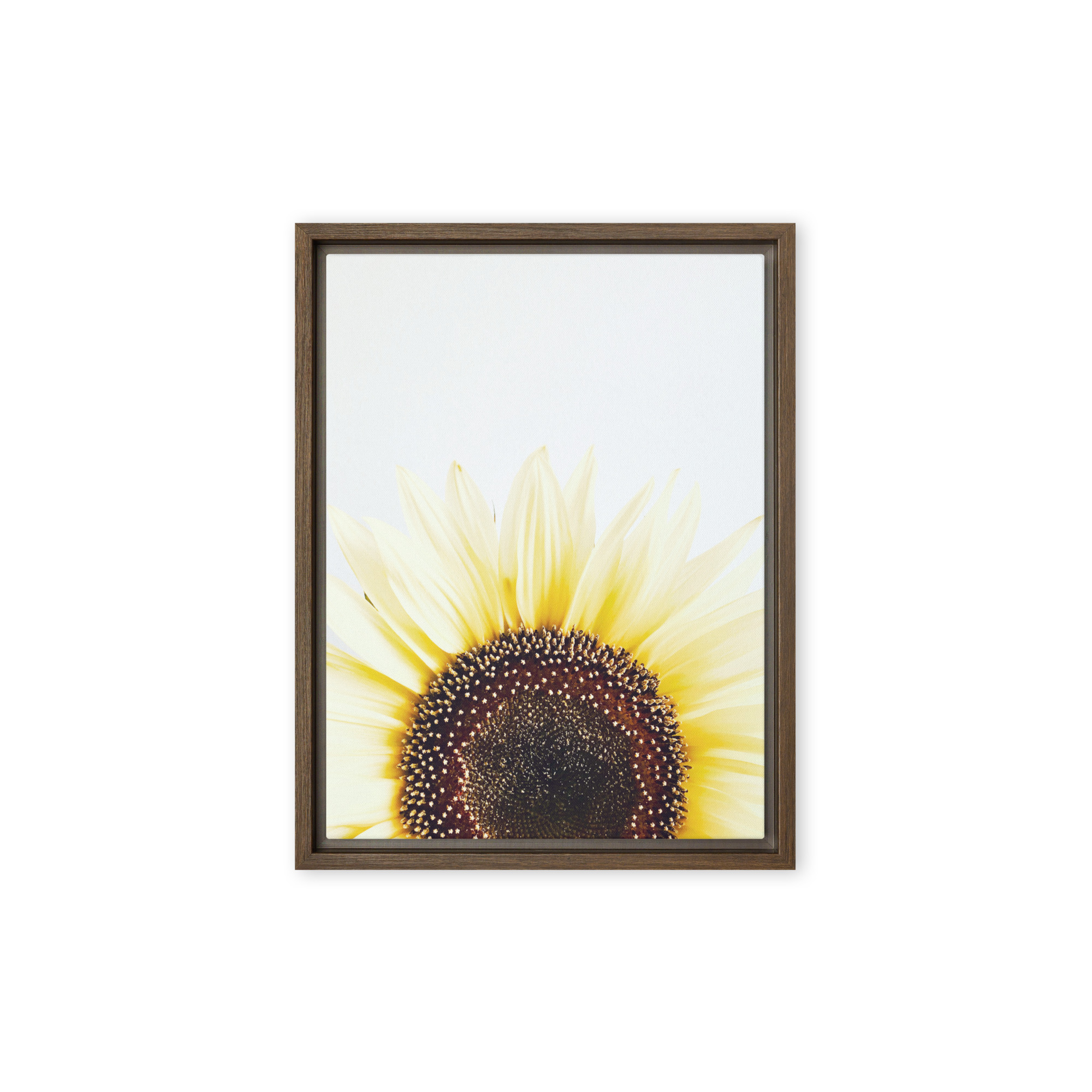 Summer Rise framed canvas art (front view)