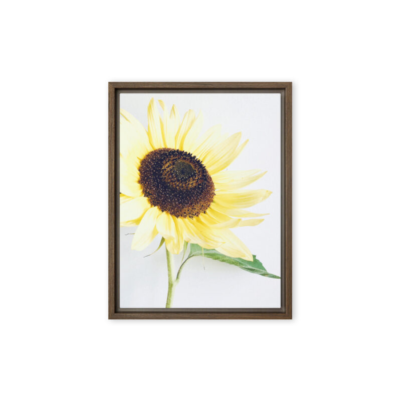 Open Face framed canvas art (front view)