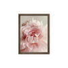 Soft Bloom Soft Bloom framed canvas art (front view)