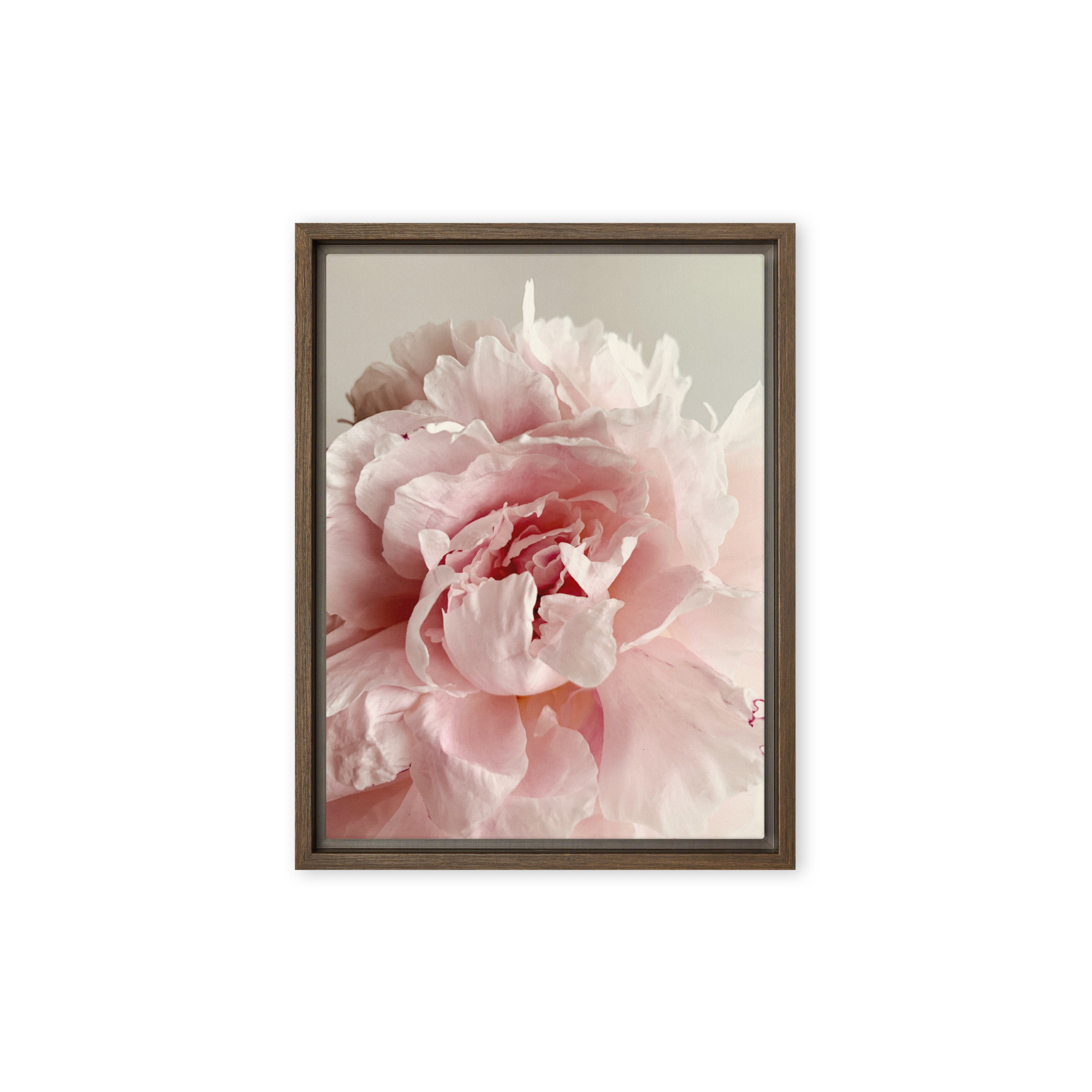 Soft Bloom Soft Bloom framed canvas art (front view)